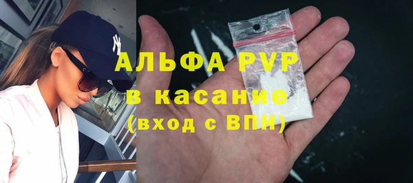 ПСИЛОЦИБИНОВЫЕ ГРИБЫ Переславль-Залесский