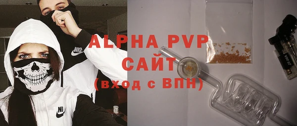 бошки Пересвет