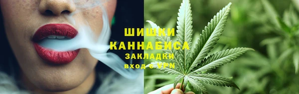 бошки Пересвет