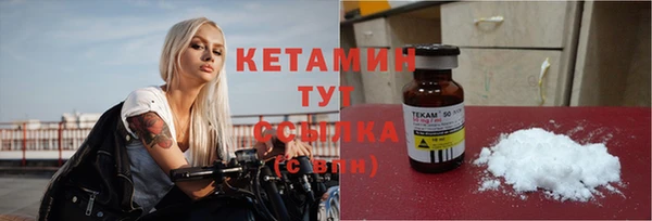 бошки Пересвет