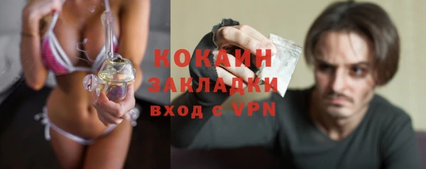 бошки Пересвет