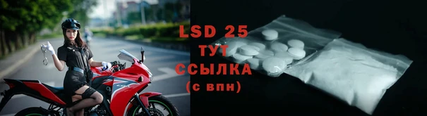 бошки Пересвет