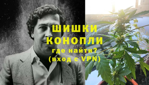 ПСИЛОЦИБИНОВЫЕ ГРИБЫ Переславль-Залесский