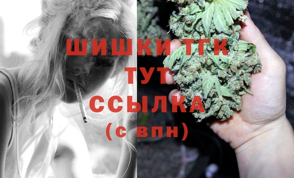 бошки Пересвет