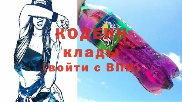 бошки Пересвет