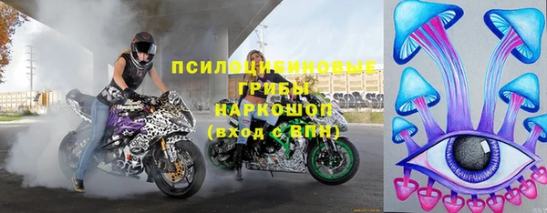 ПСИЛОЦИБИНОВЫЕ ГРИБЫ Переславль-Залесский