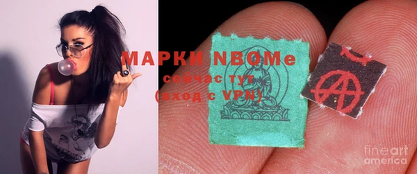 бошки Пересвет