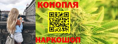 шишки Балахна