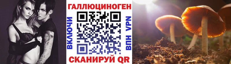 Галлюциногенные грибы прущие грибы  Балахна 