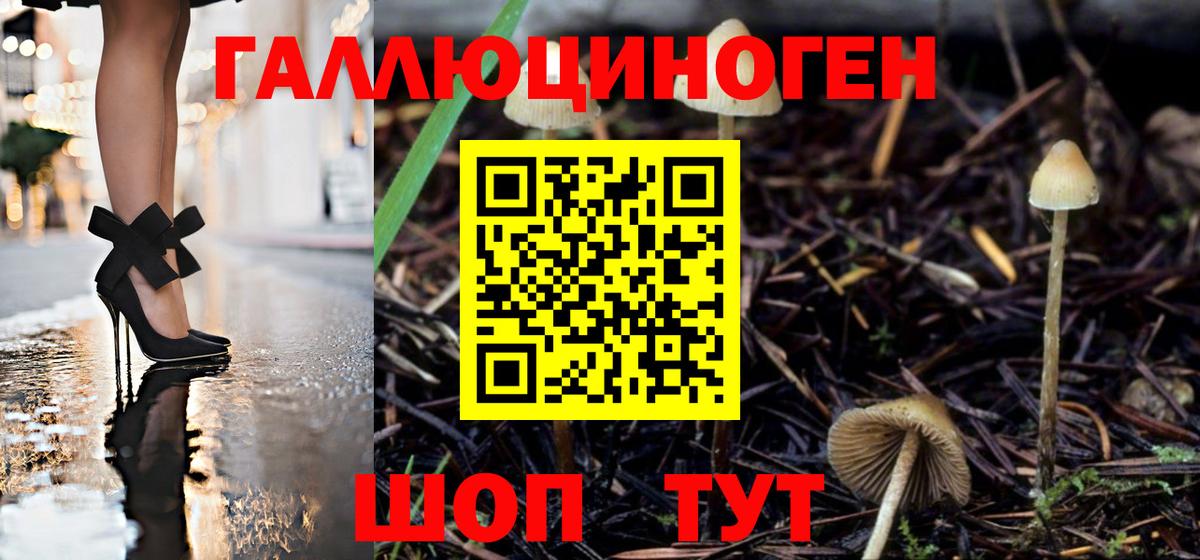 Галлюциногенные грибы Cubensis Балахна