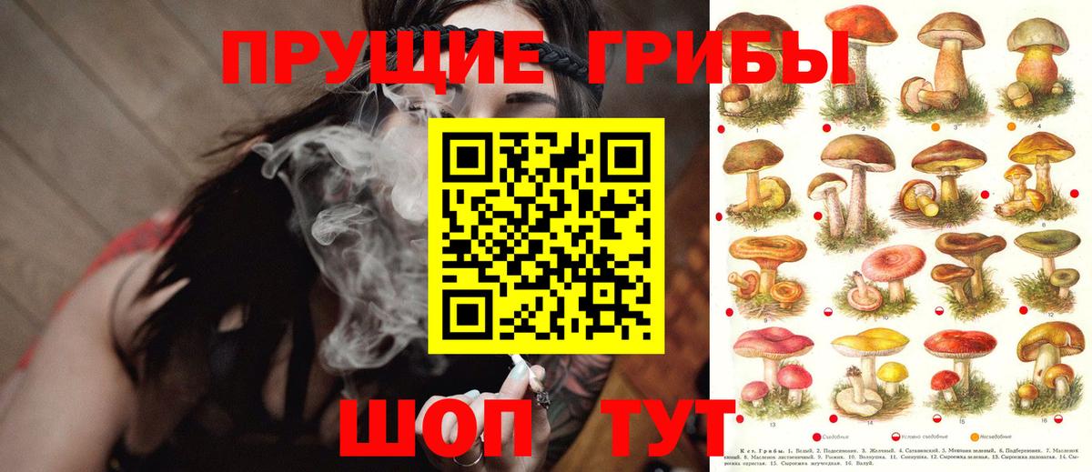 Балахна  Галлюциногенные грибы прущие грибы  закладка  Вход с VPN 