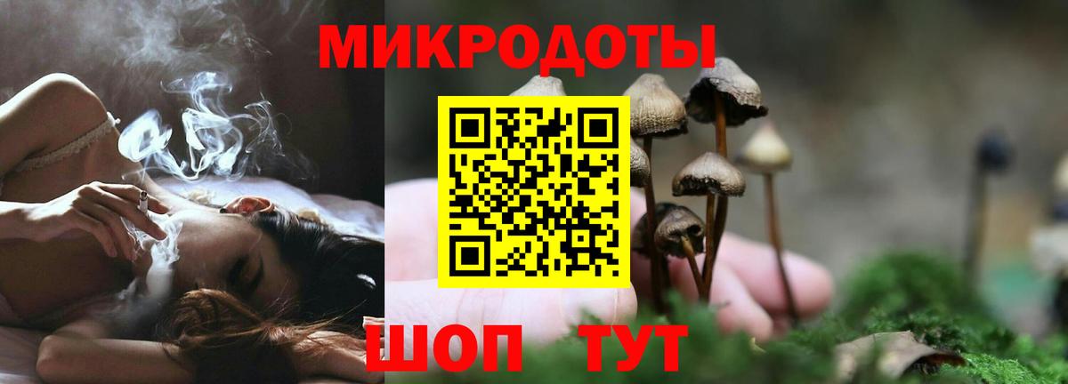 Псилоцибиновые грибы Psilocybine cubensis Балахна